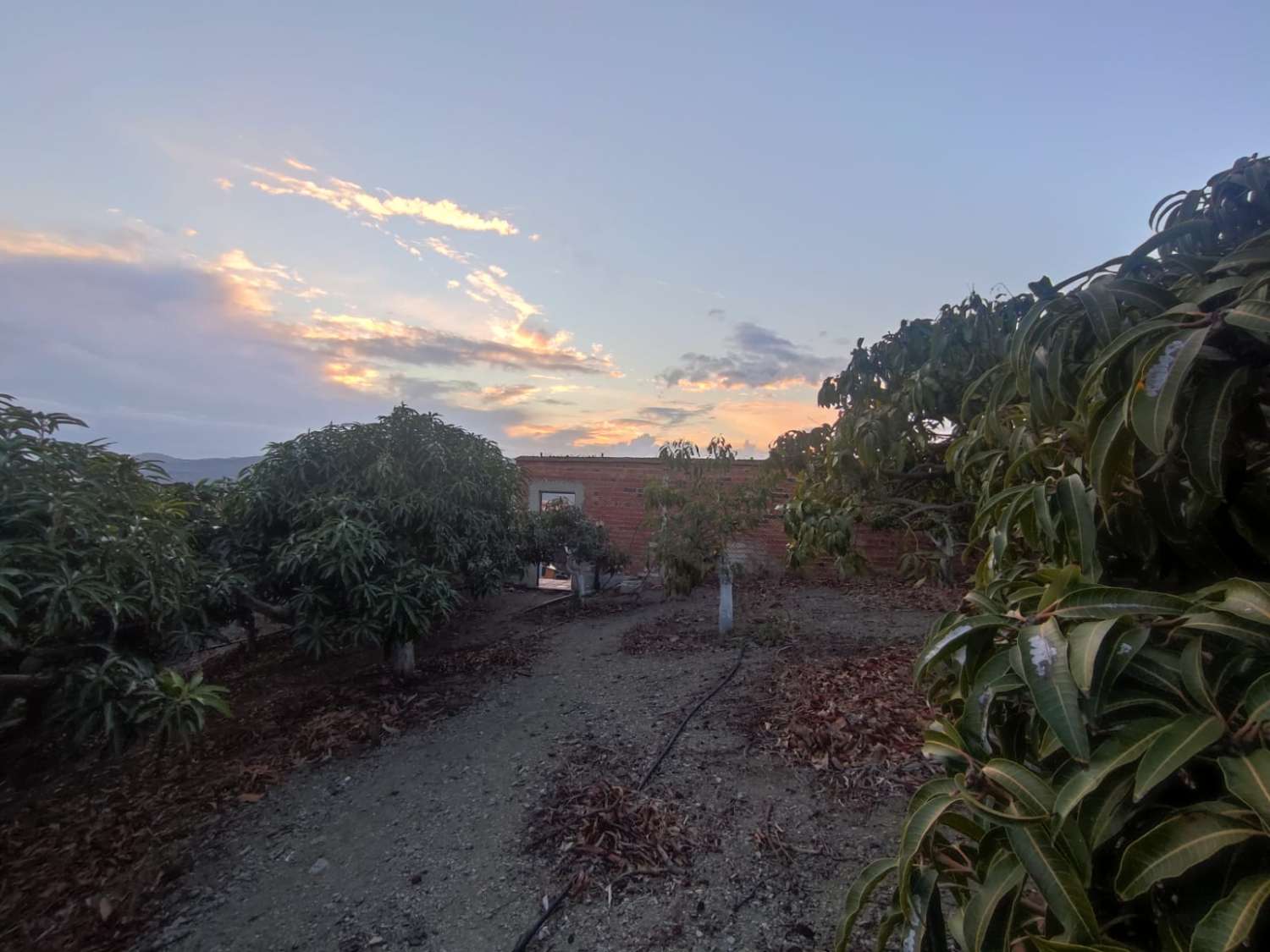 Vélez-Málaga. A vendre, maison de campagne aux caractéristiques exceptionnelles :