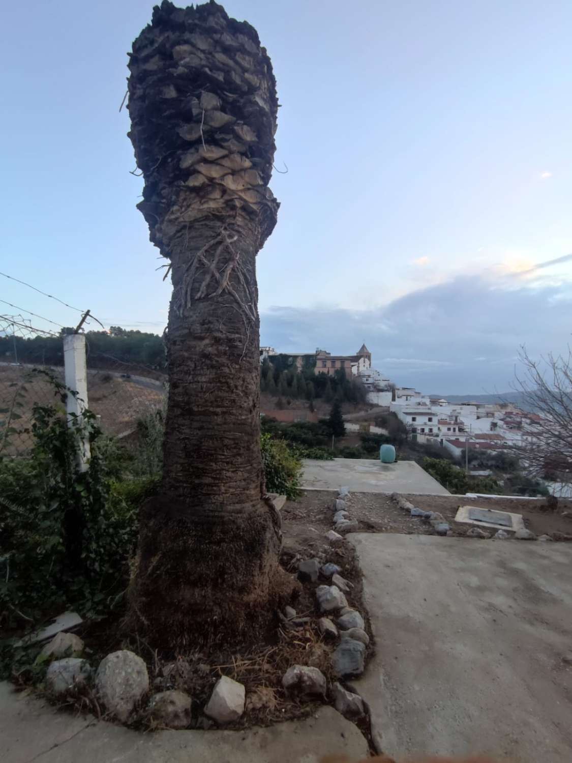 Vélez-Málaga. Vendesi, casale dalle caratteristiche eccezionali: