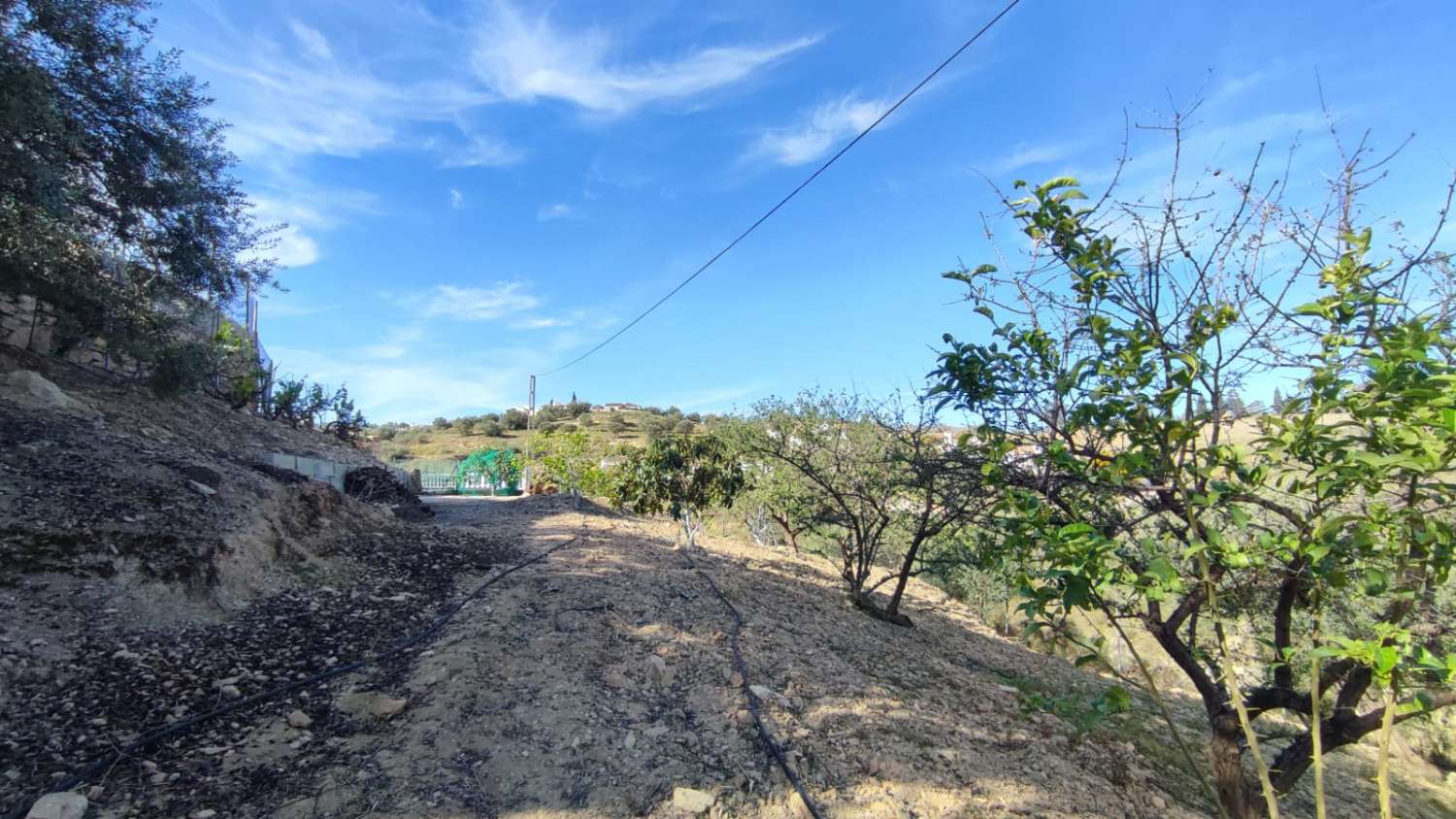 EN VENTA MAGNIFICA CASA DE CAMPO EN VIÑUELA