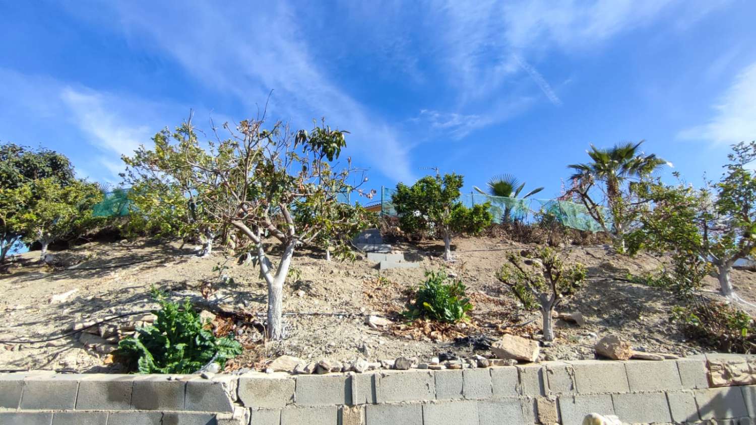 EN VENTA MAGNIFICA CASA DE CAMPO EN VIÑUELA