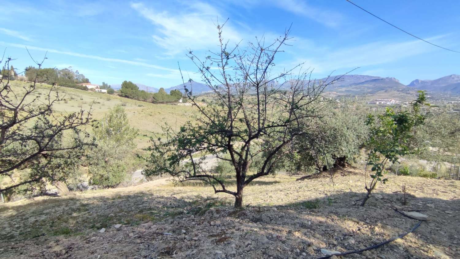 Magnifique maison de campagne à vendre à Viñuela