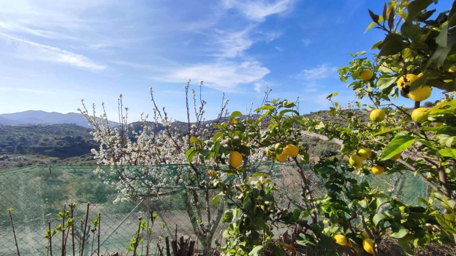 Magnifique maison de campagne à vendre à Viñuela