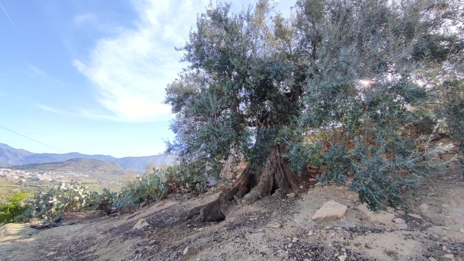 Prachtig landhuis te koop in Viñuela