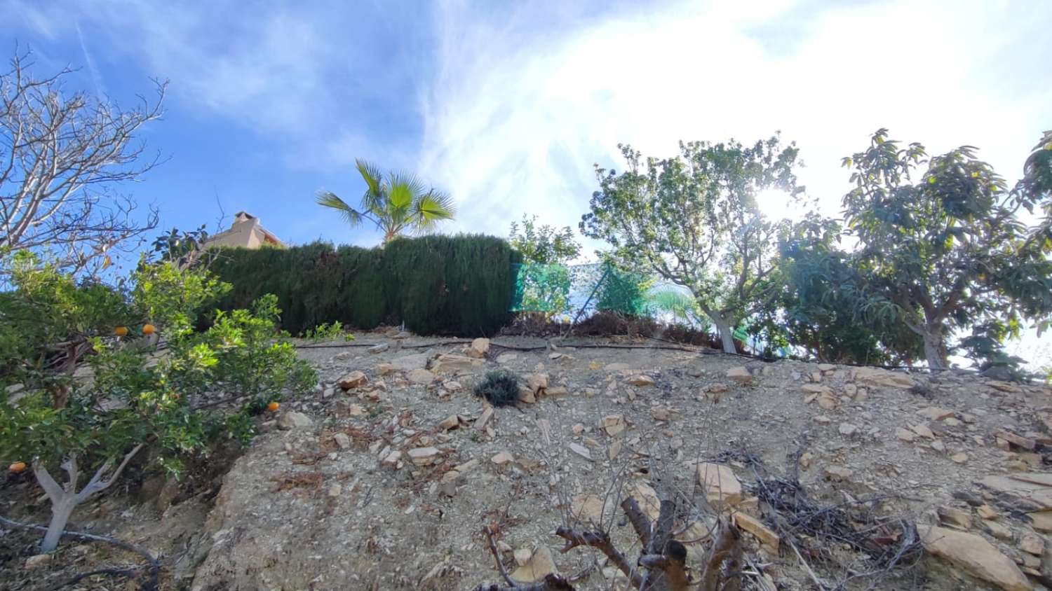 EN VENTA MAGNIFICA CASA DE CAMPO EN VIÑUELA