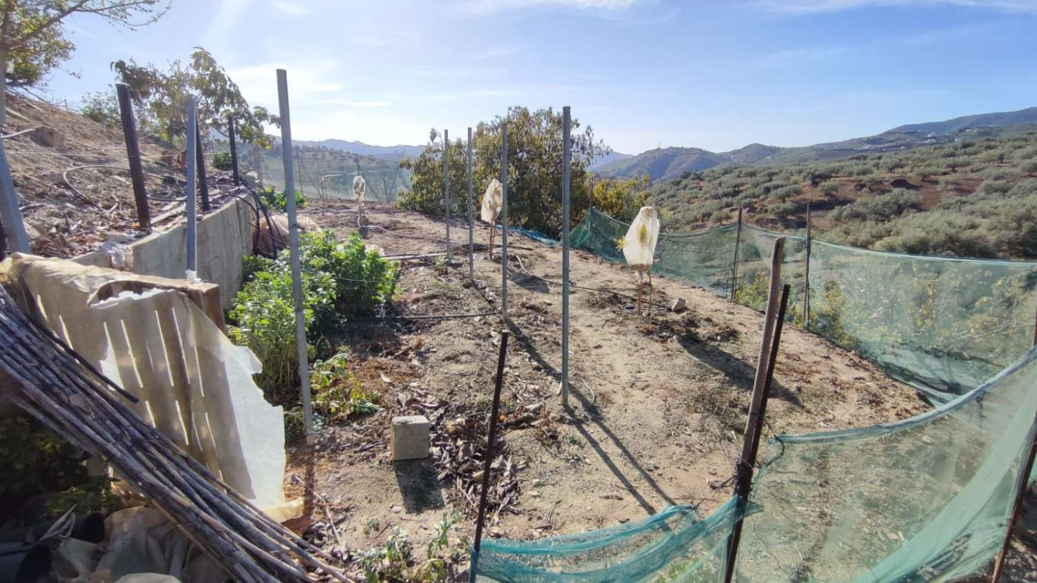 EN VENTA MAGNIFICA CASA DE CAMPO EN VIÑUELA