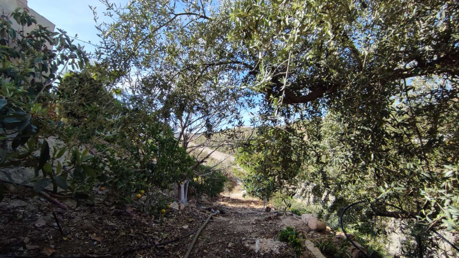 EN VENTA MAGNIFICA CASA DE CAMPO EN VIÑUELA