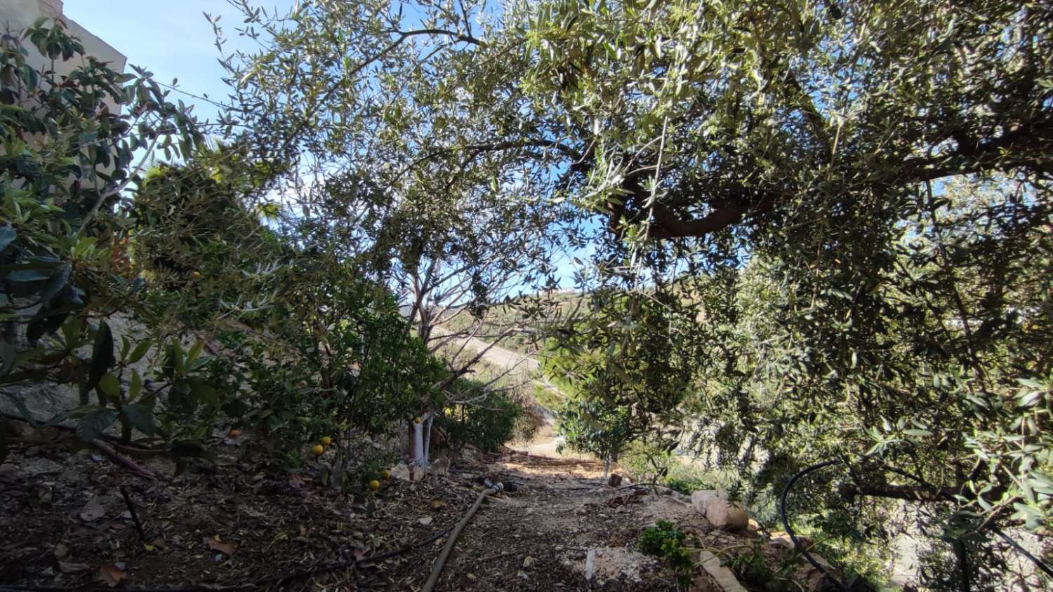 Magnifique maison de campagne à vendre à Viñuela