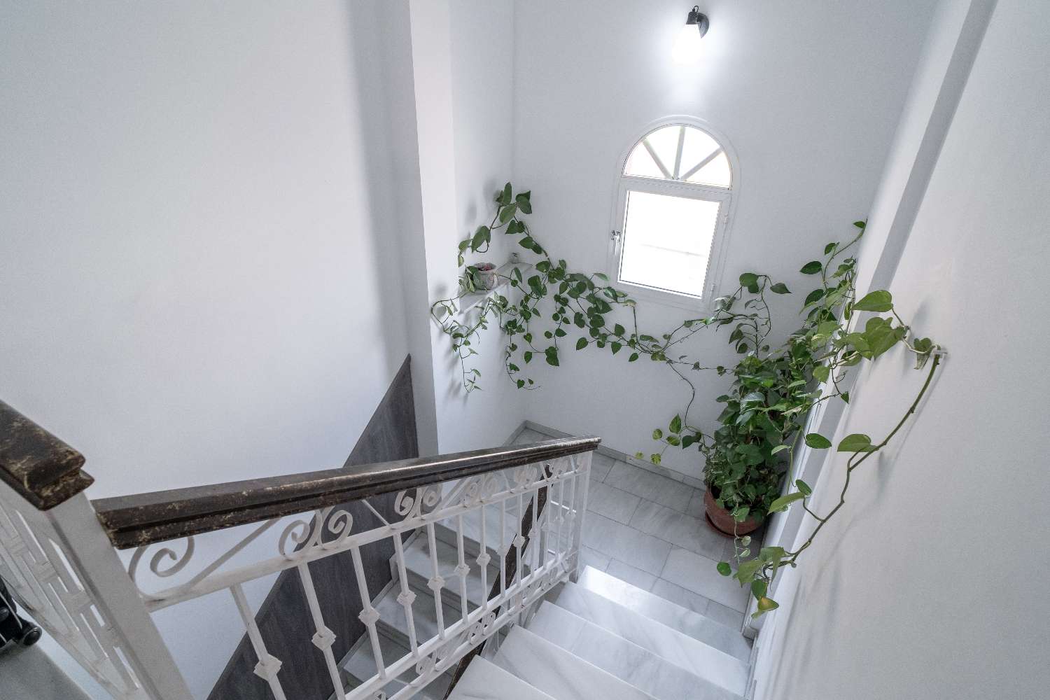 Semi-detached house in Vélez Málaga