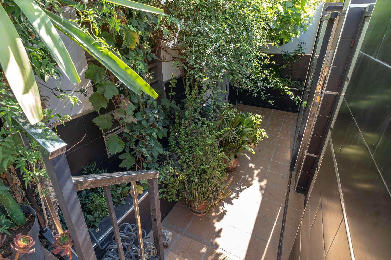 Semi-detached house in Vélez Málaga