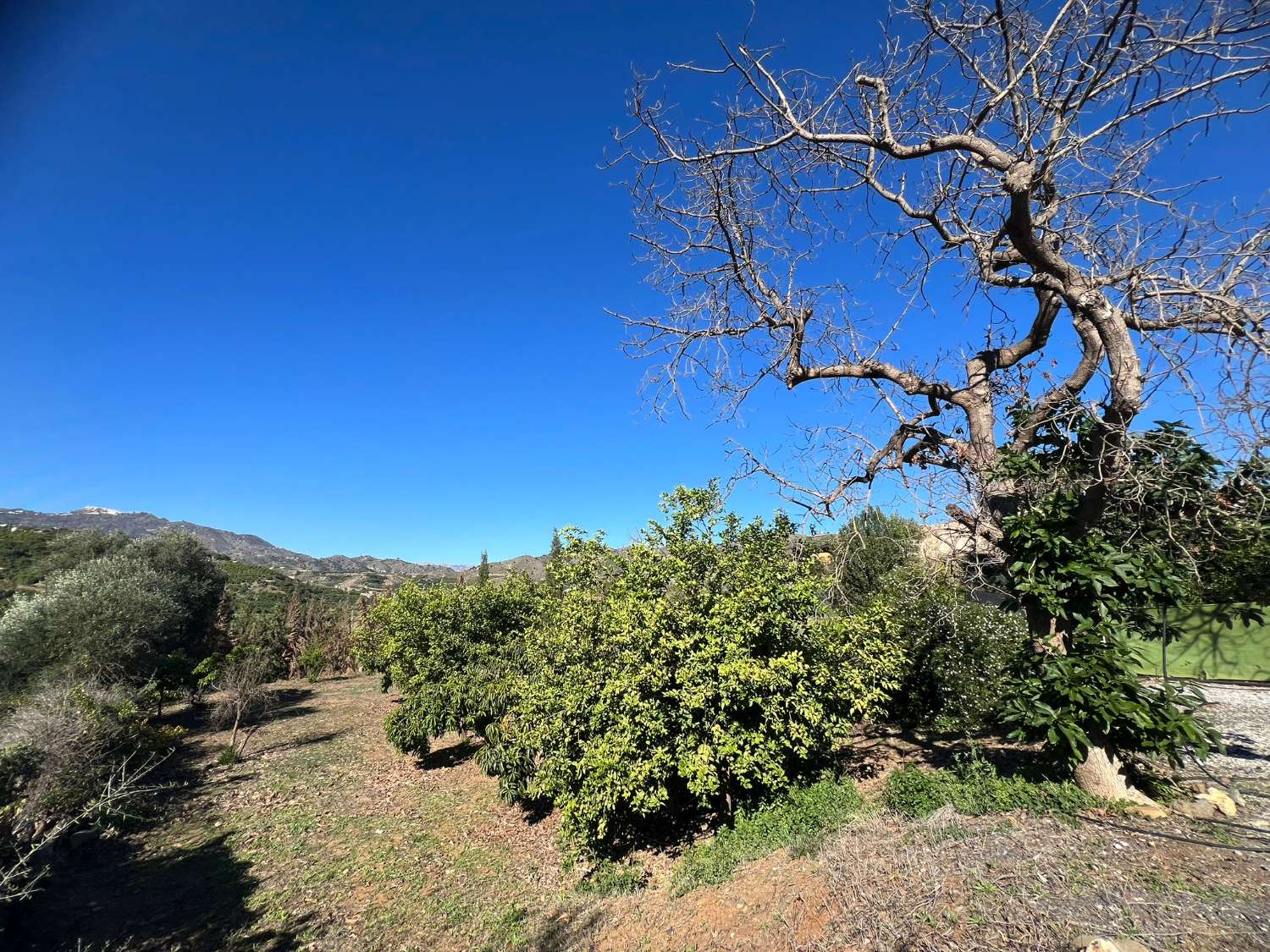 Casa in vendita a Benamargosa