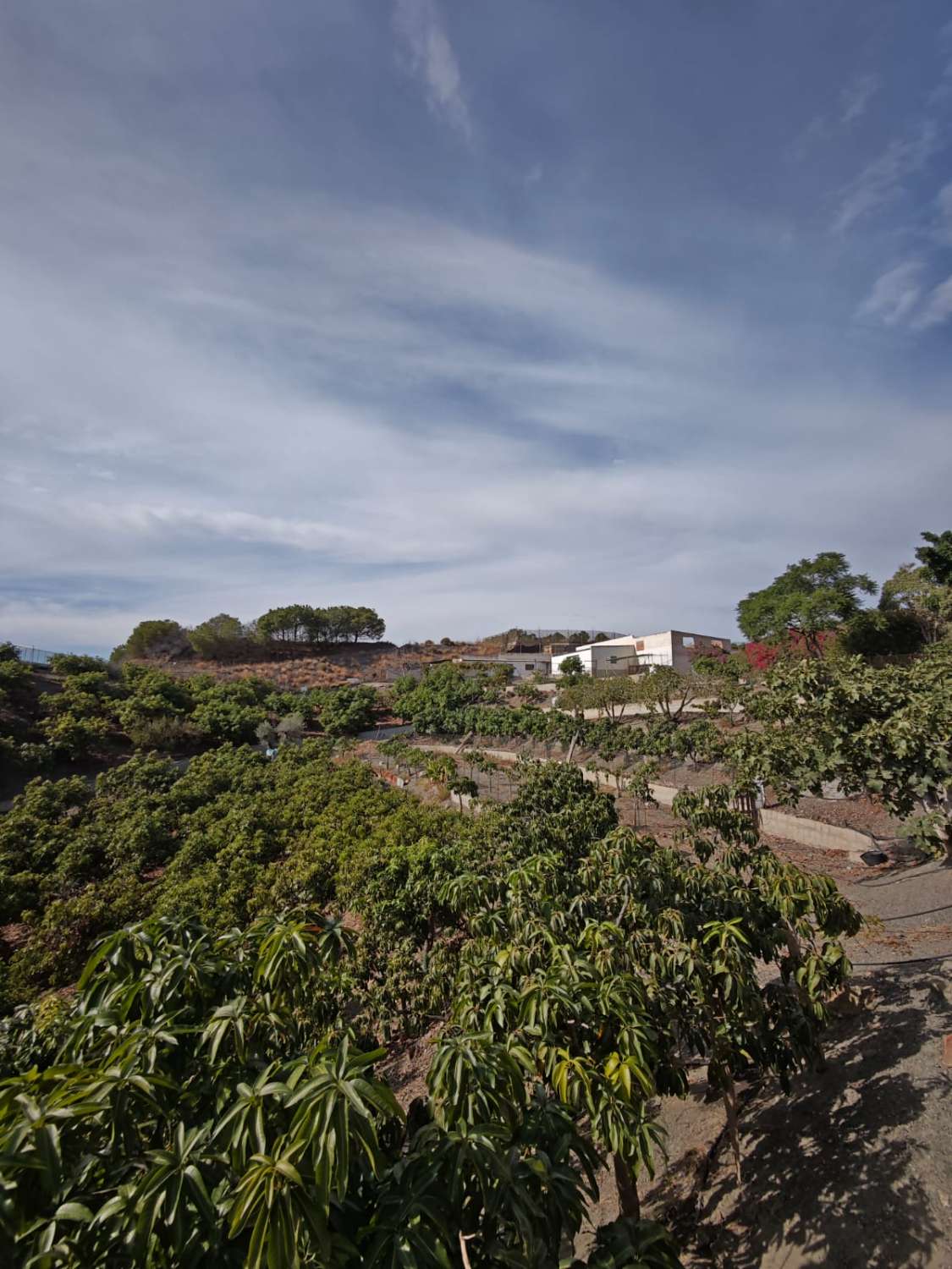 Tontti myynnissä Norte - Barrio del Pilar - El Reñidero (Vélez-Málaga)