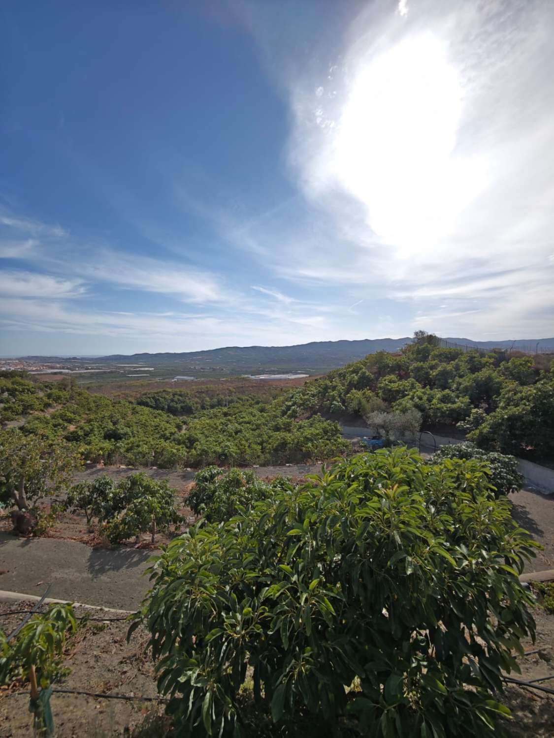 Tontti myynnissä Norte - Barrio del Pilar - El Reñidero (Vélez-Málaga)