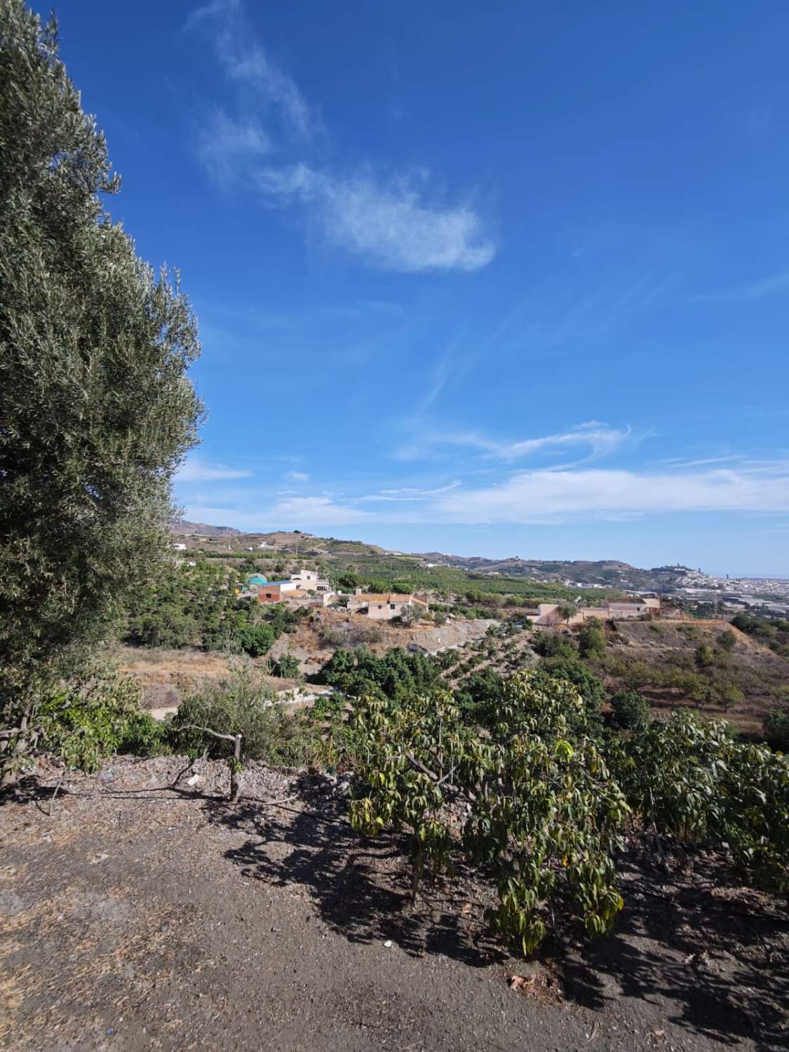 Tontti myynnissä Norte - Barrio del Pilar - El Reñidero (Vélez-Málaga)