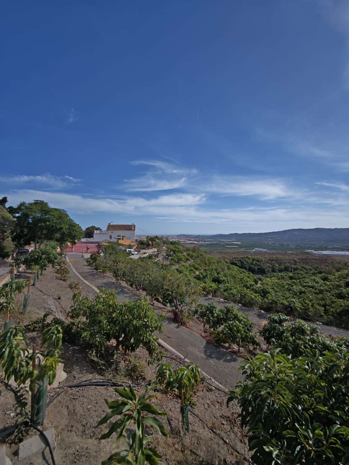Tontti myynnissä Norte - Barrio del Pilar - El Reñidero (Vélez-Málaga)