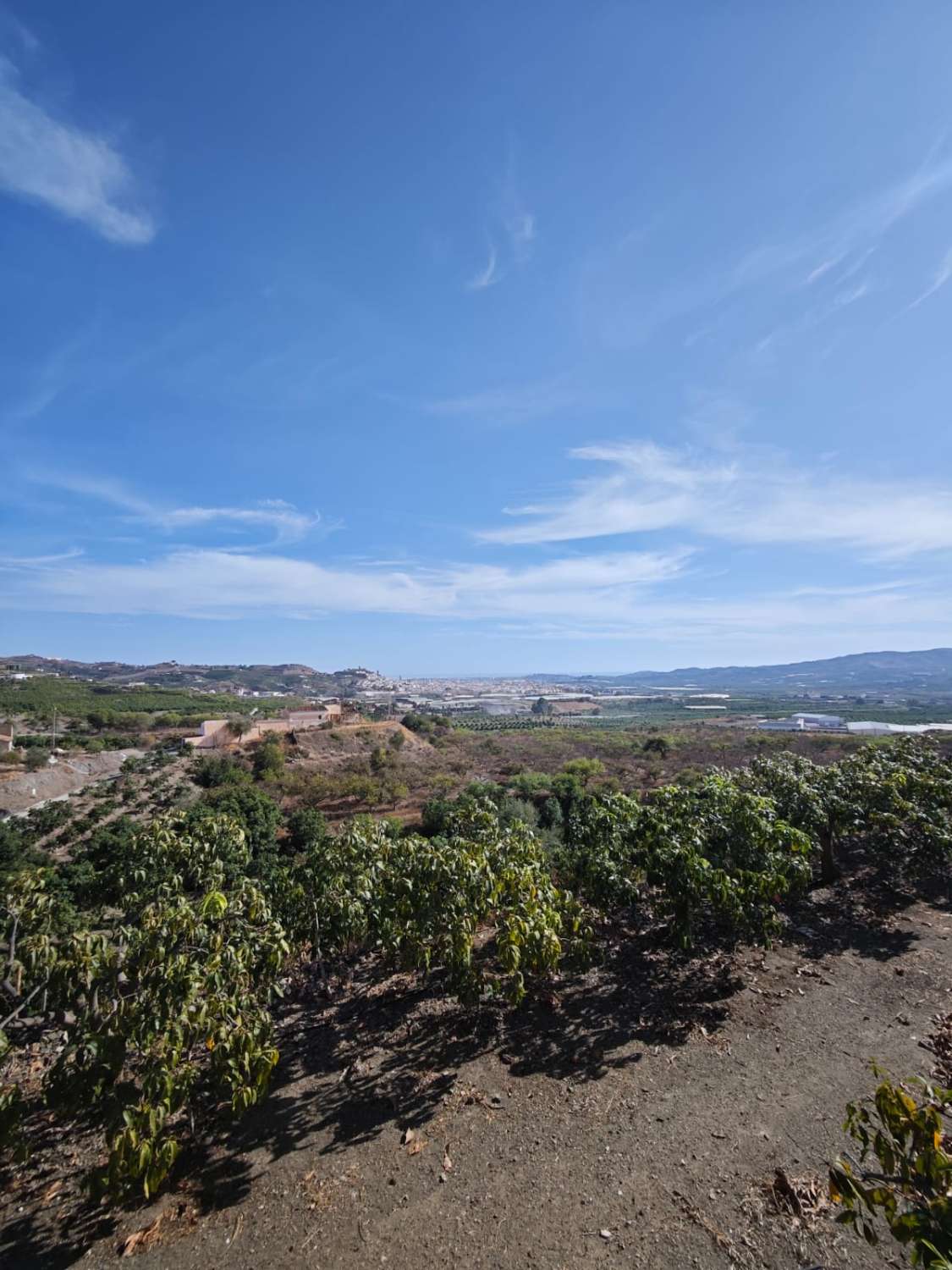 Tontti myynnissä Norte - Barrio del Pilar - El Reñidero (Vélez-Málaga)