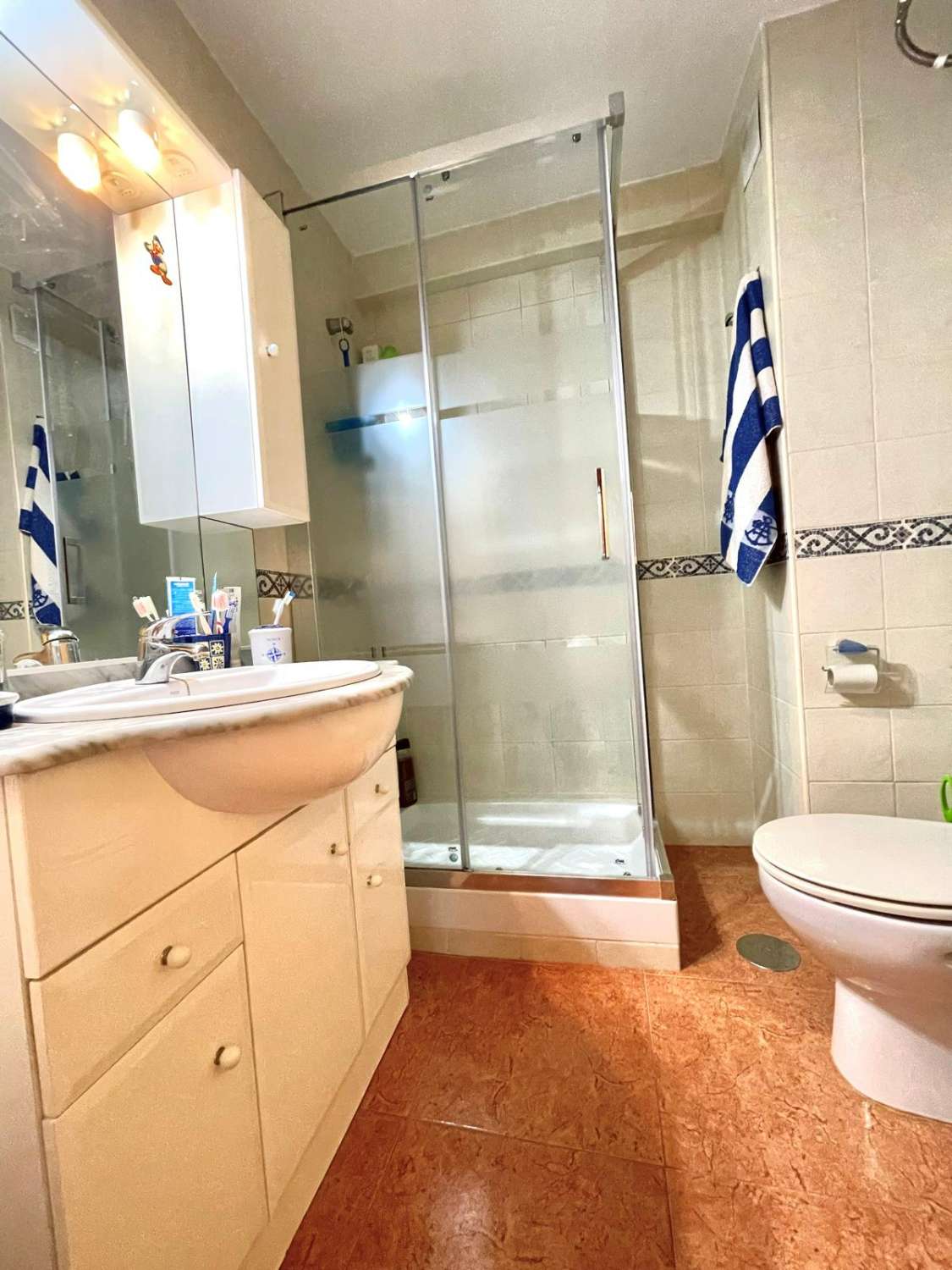 MAGNIFICO APARTAMENTO EN VENTA EN EL CENTRO DE TORRE DEL MAR.