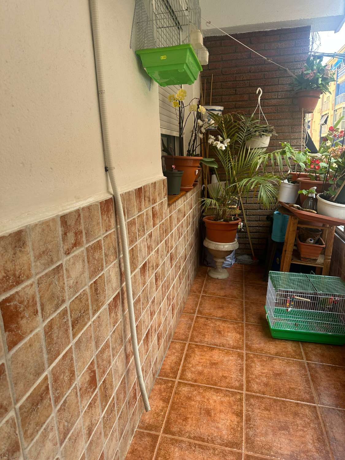 Große Wohnung zu verkaufen, Vélez-Málaga