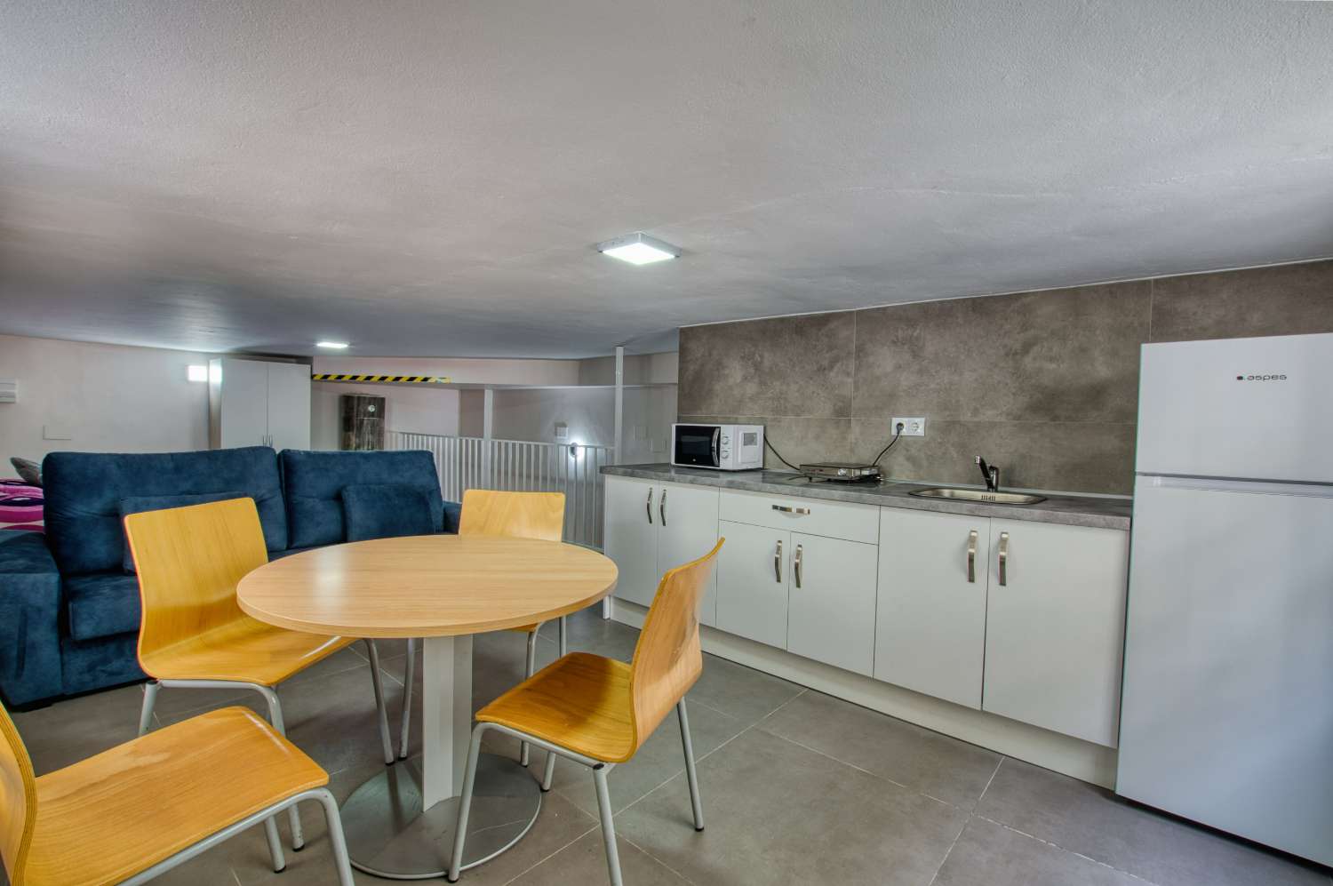 Store lokaler til salg, Vélez-Málaga