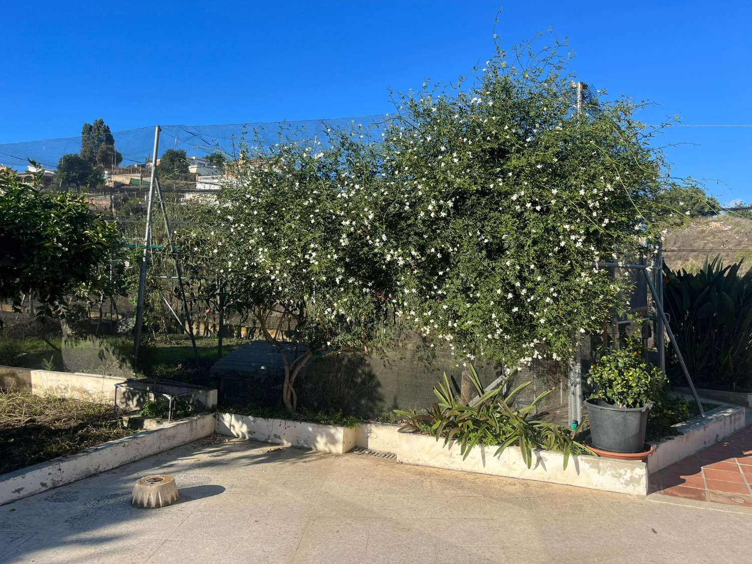 阿尔马亚特壮丽的乡村地块出售