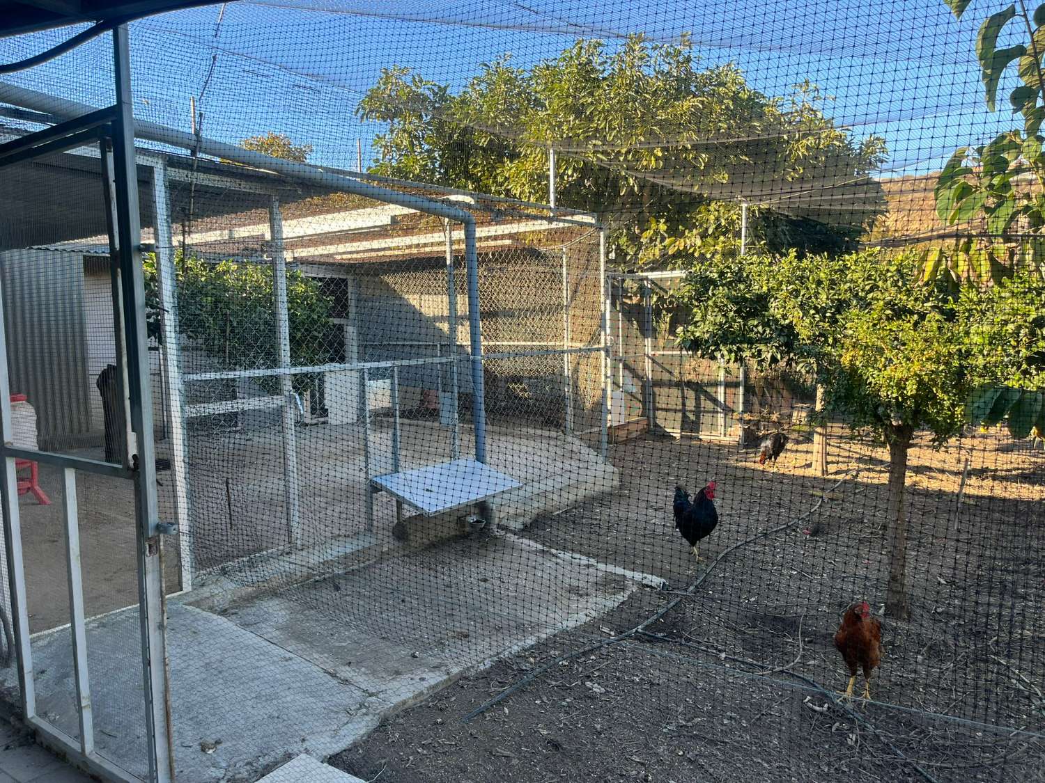 阿尔马亚特壮丽的乡村地块出售