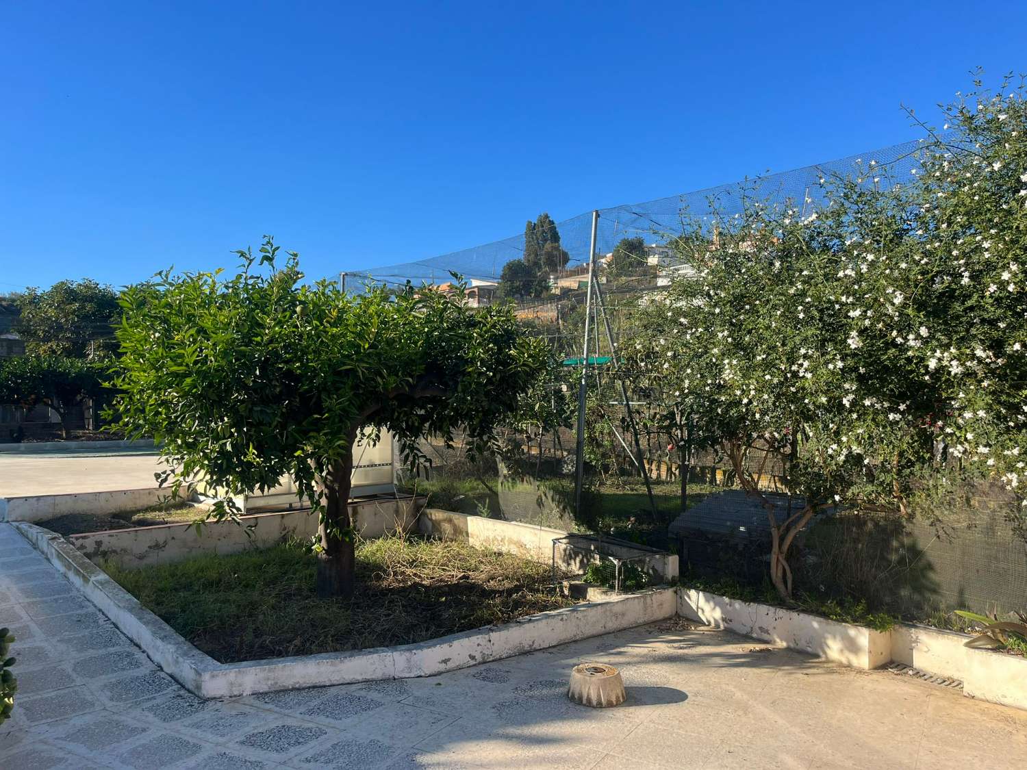 阿尔马亚特壮丽的乡村地块出售