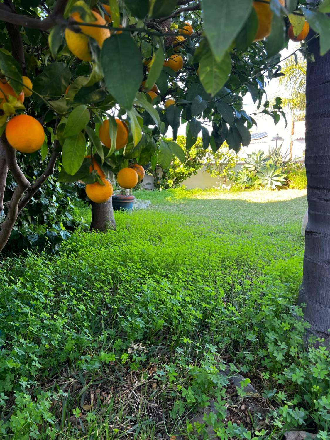 Stort hus med havsutsikt till salu i Caleta de Vélez