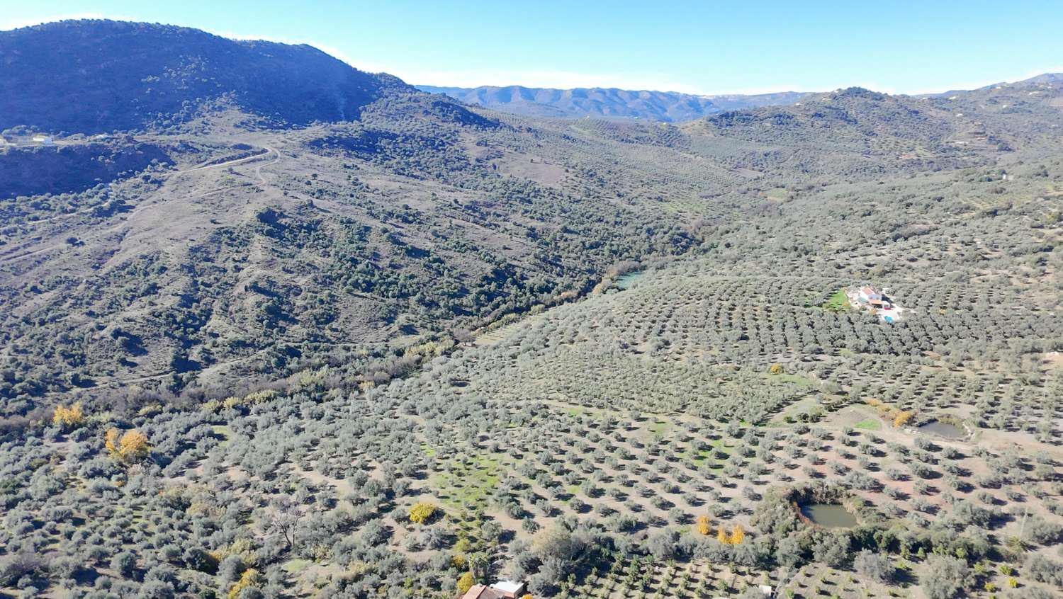 Magnifique terrain à vendre à Periana