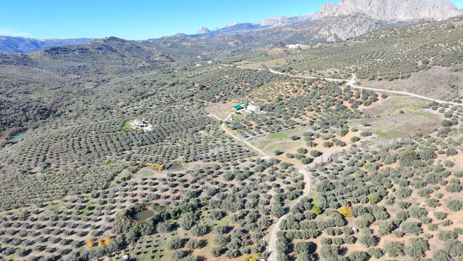 Magnifique terrain à vendre à Periana