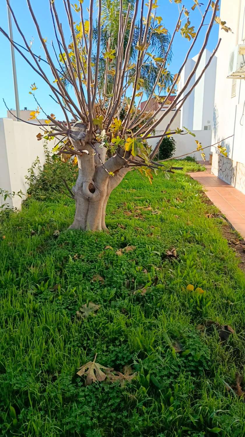 Villa jumelée à vendre à Vélez-Málaga