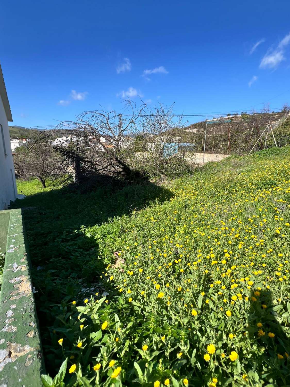 Finca en venta en Vélez-Málaga