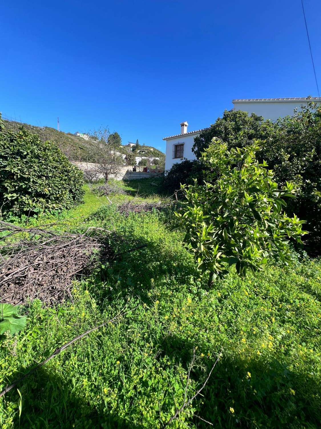 Finca en venta en Vélez-Málaga