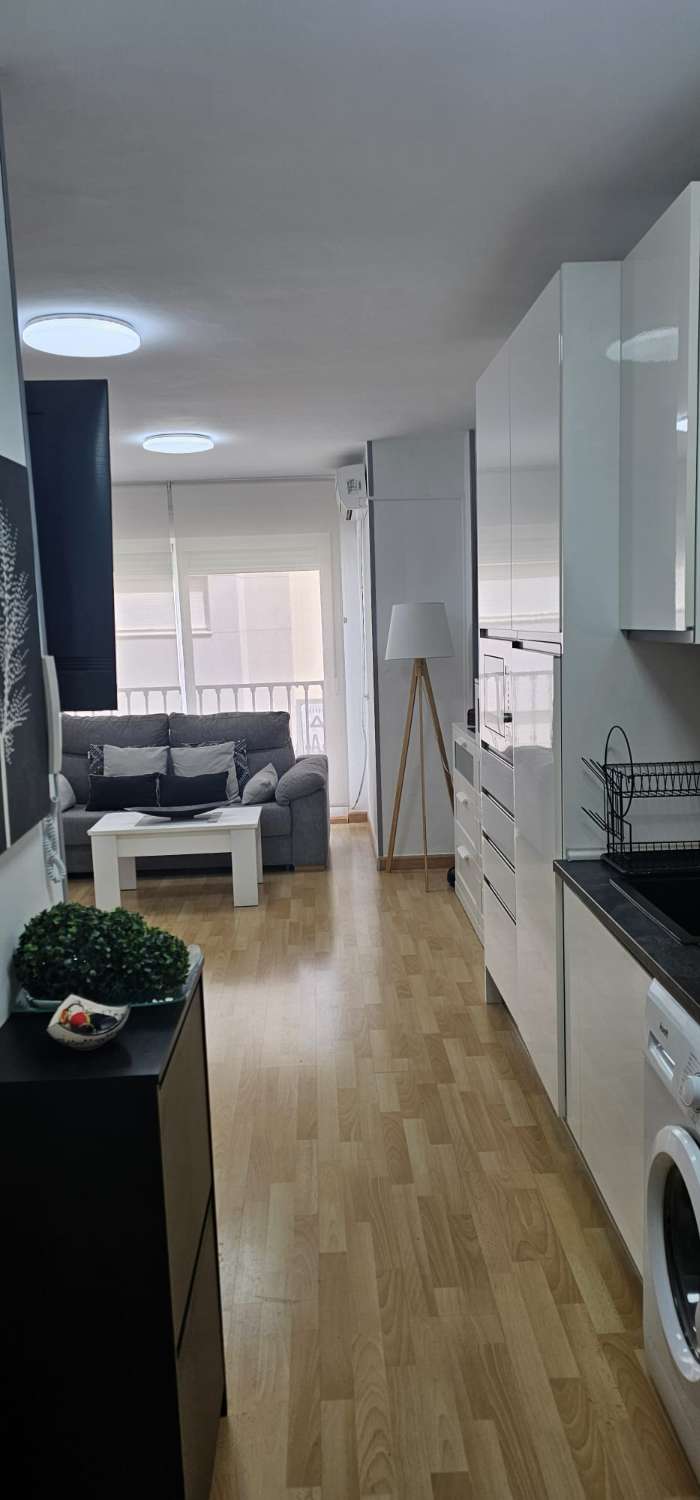 Smukt renoveret atelier i centrum af Torre del Mar