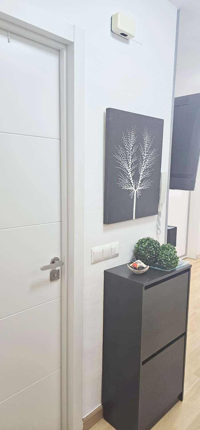 Smukt renoveret atelier i centrum af Torre del Mar