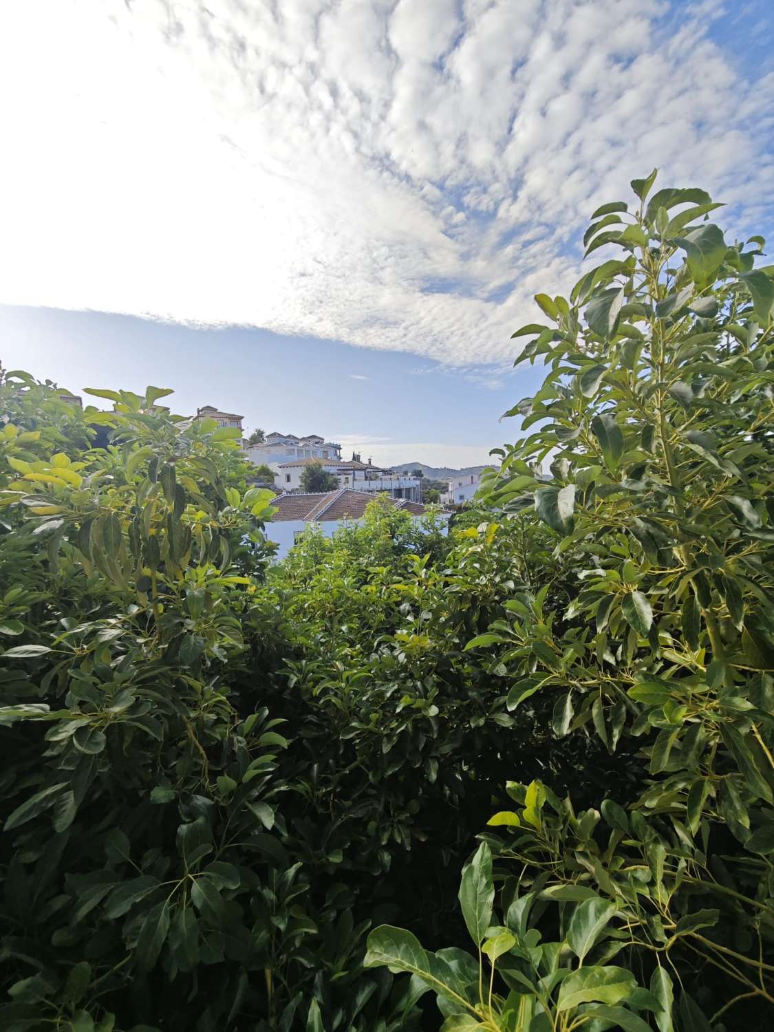 Stadstomt i Canillas de Albaida