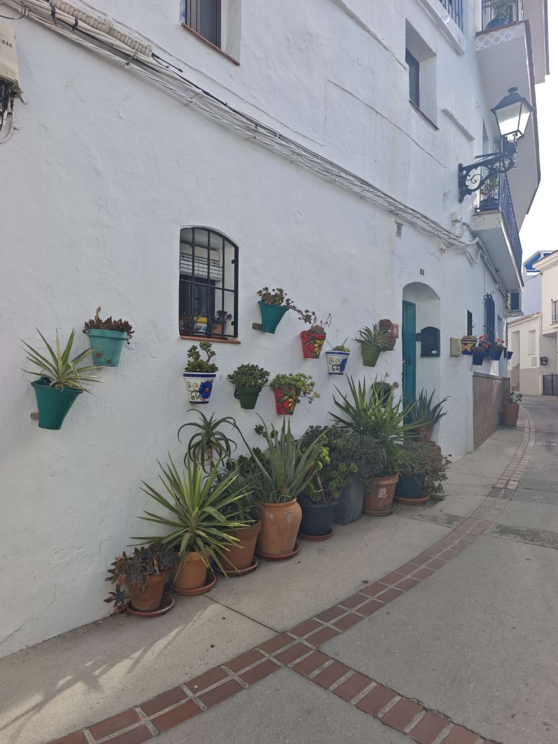 Stadstomt i Canillas de Albaida