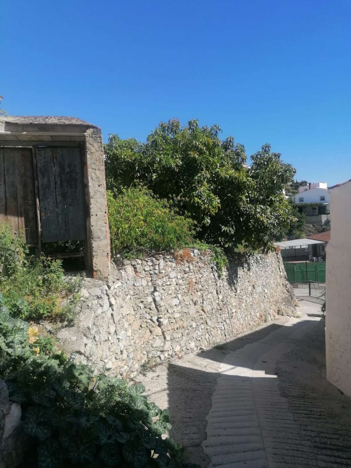 Stadstomt i Canillas de Albaida