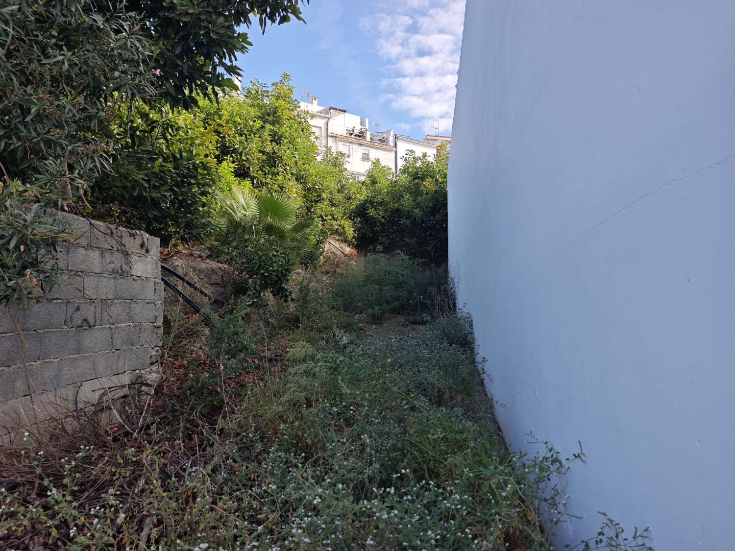 Stadstomt i Canillas de Albaida