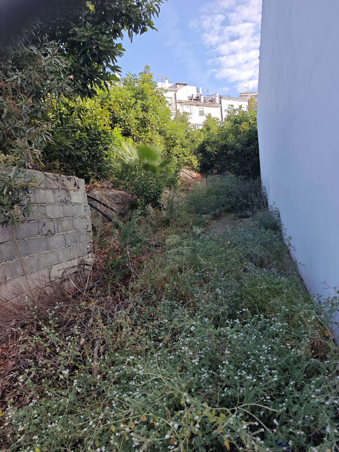 Stadstomt i Canillas de Albaida