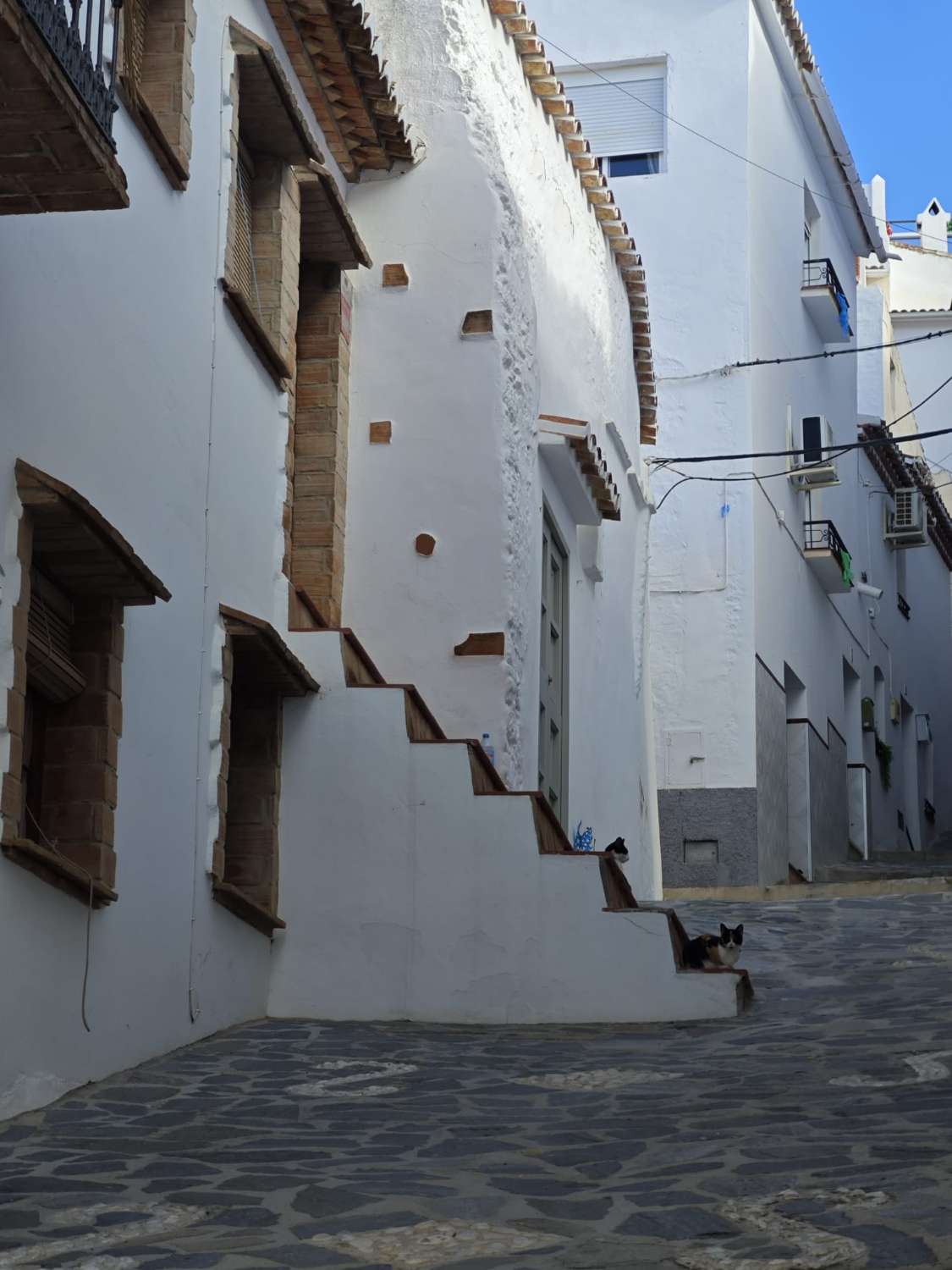 Stadstomt i Canillas de Albaida