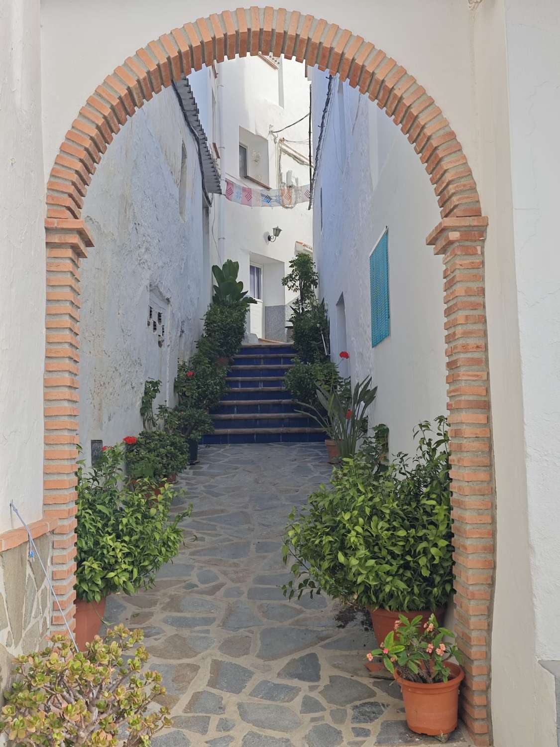 Stadstomt i Canillas de Albaida