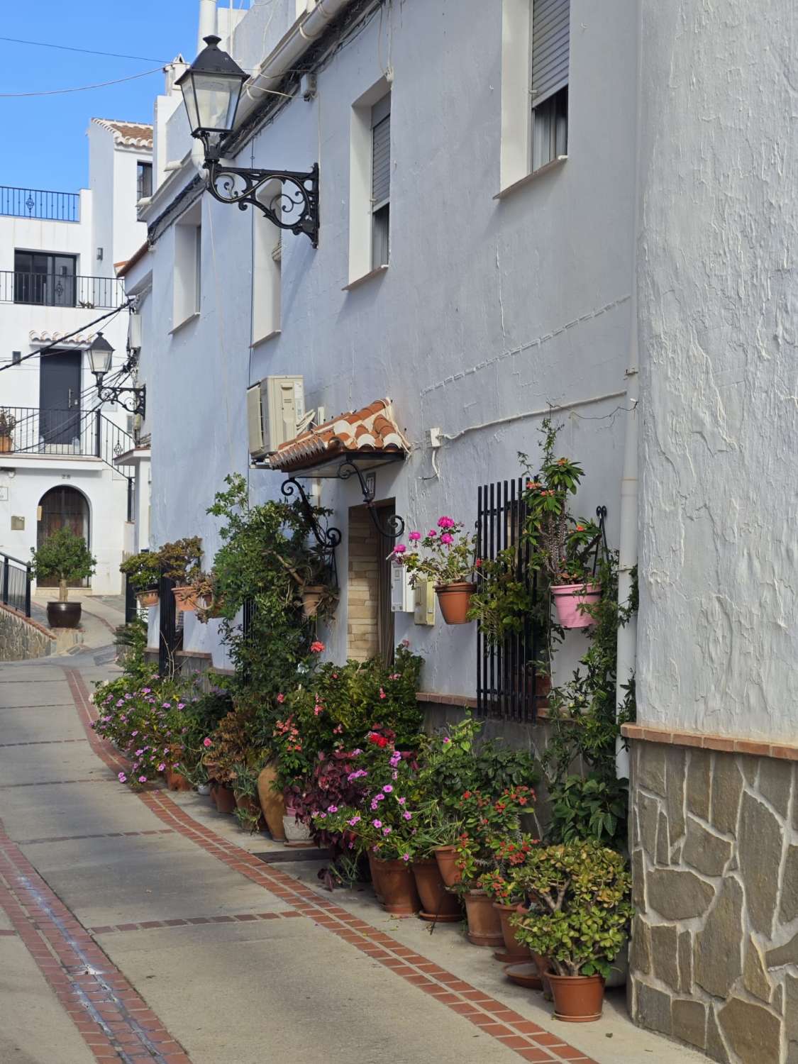 Stadstomt i Canillas de Albaida