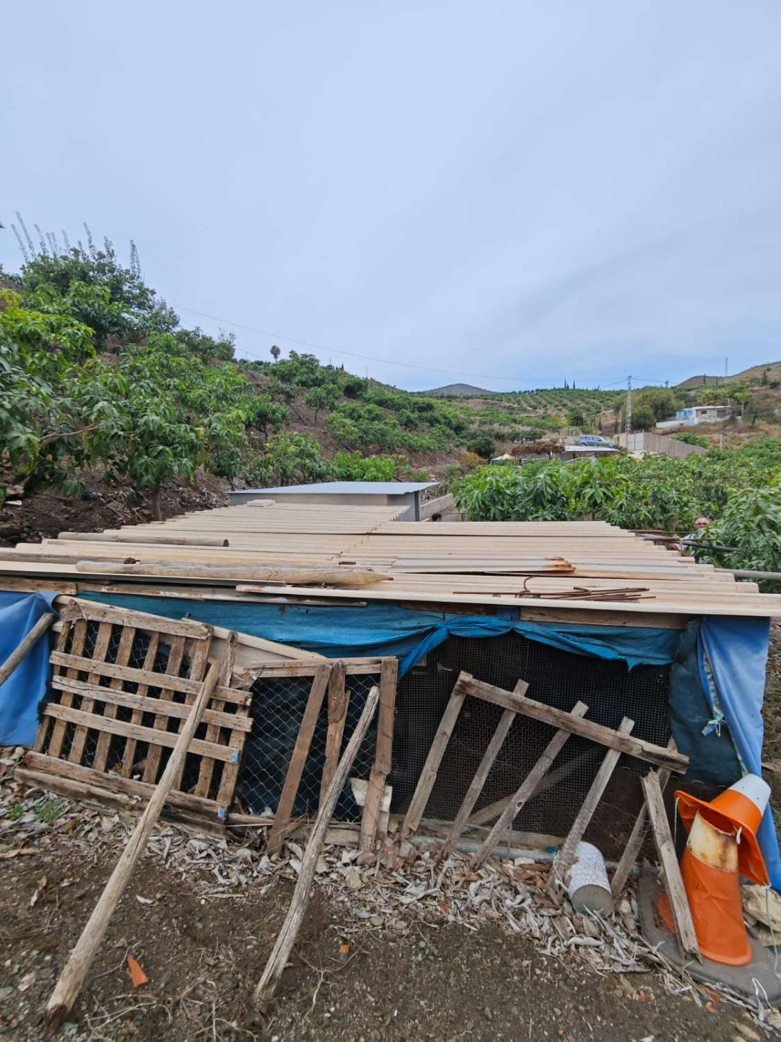 Rustieke finca met zeezicht in Benajarafe