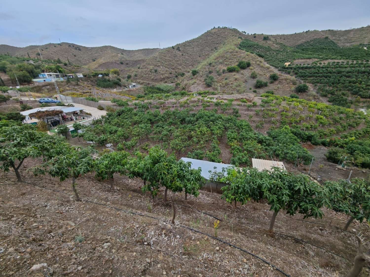 Rustieke finca met zeezicht in Benajarafe