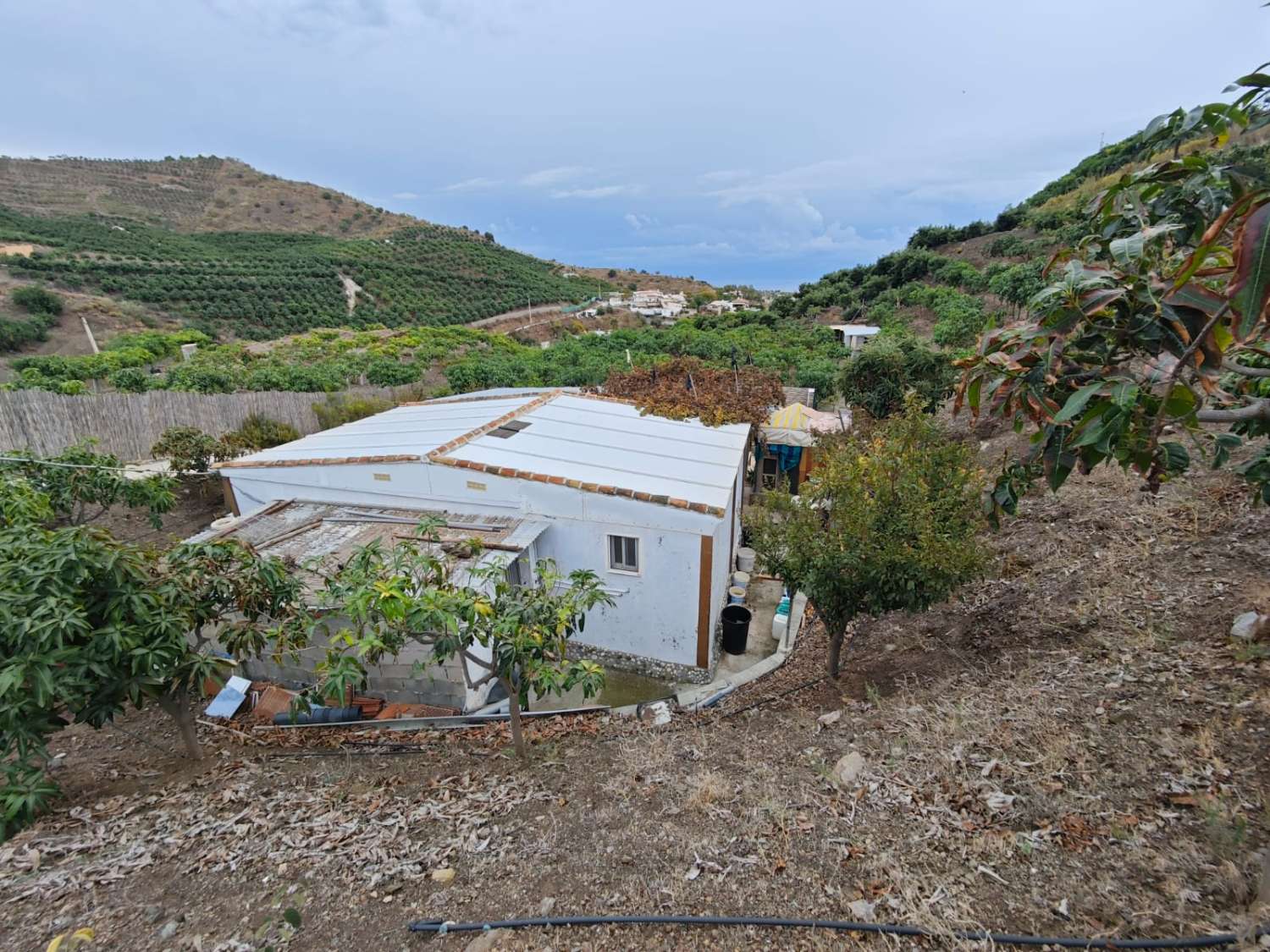 Rustieke finca met zeezicht in Benajarafe