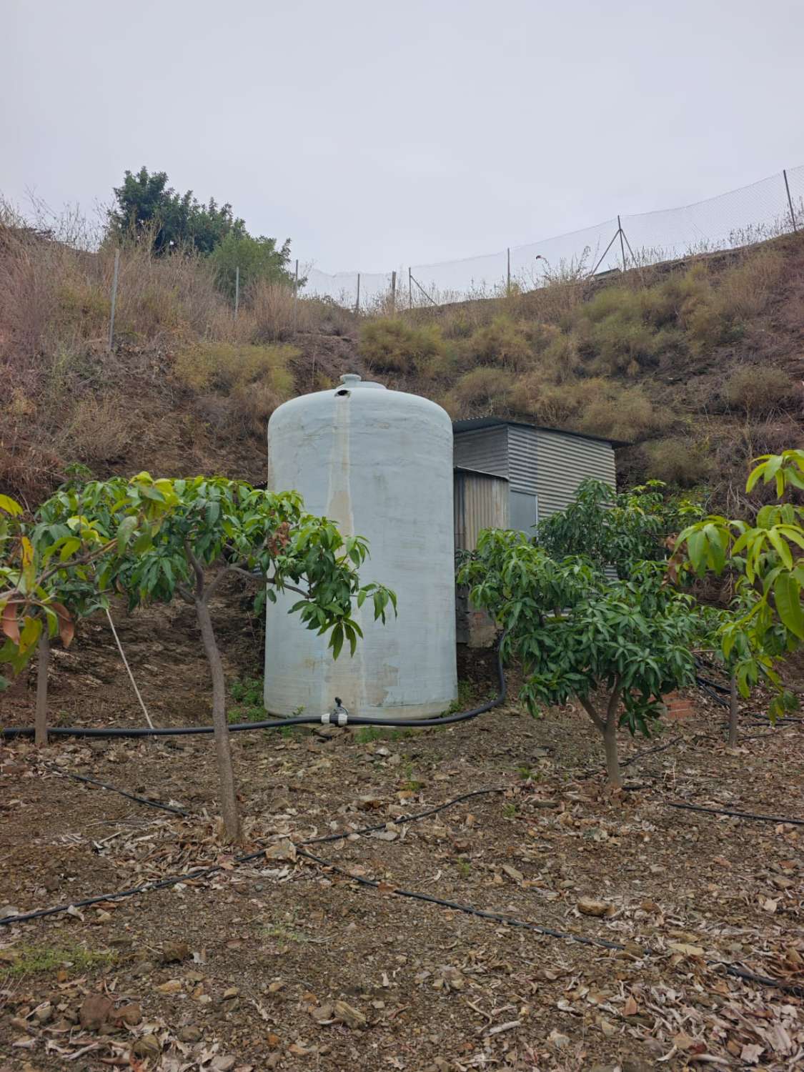 Rustieke finca met zeezicht in Benajarafe