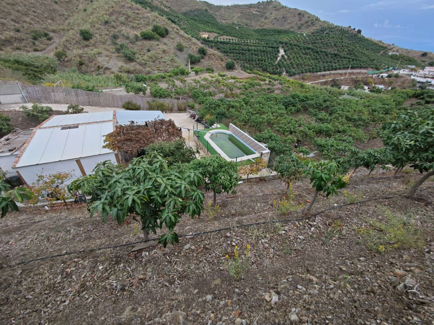 Rustieke finca met zeezicht in Benajarafe